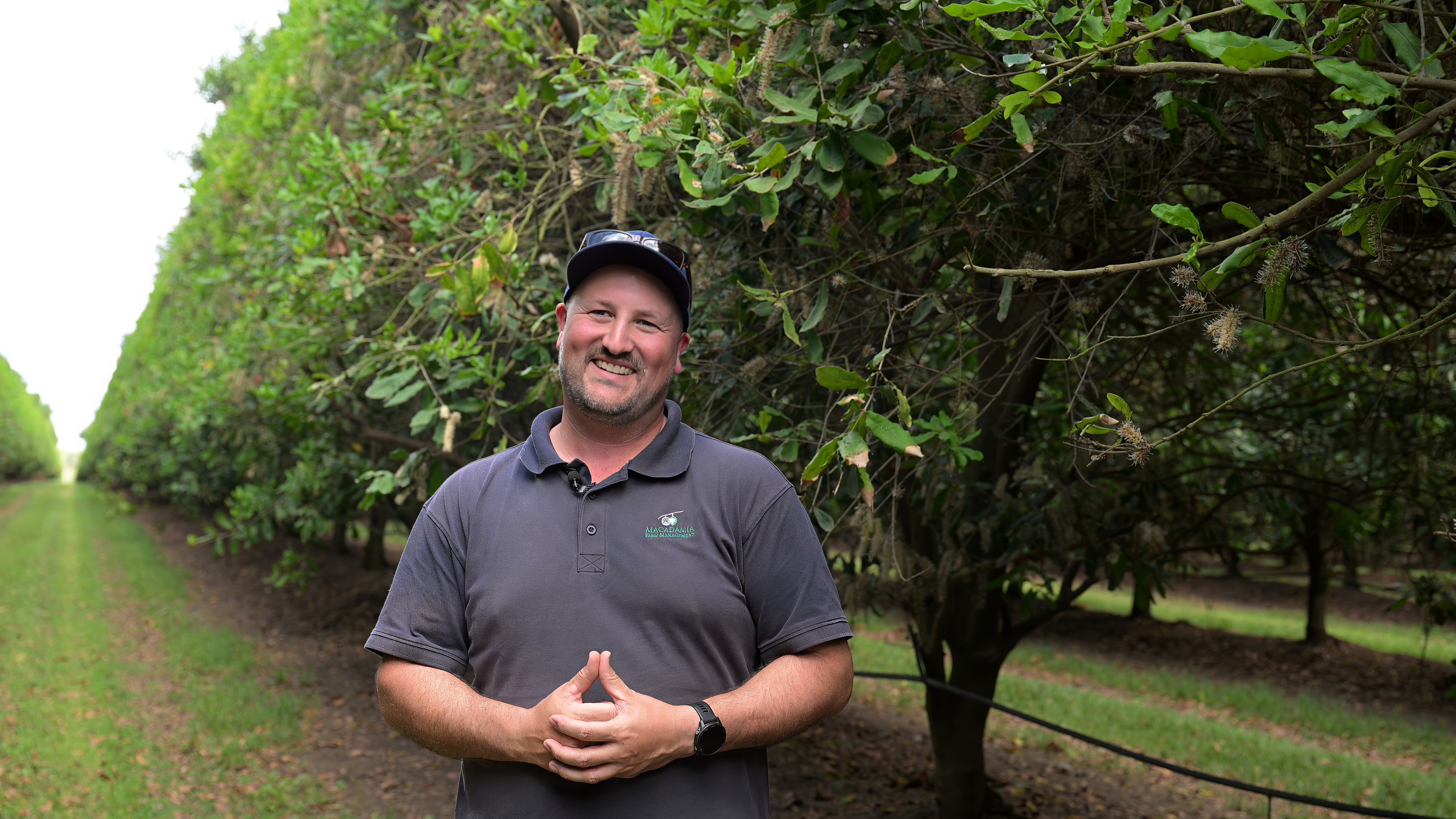 Macadamia grower transforms pest management