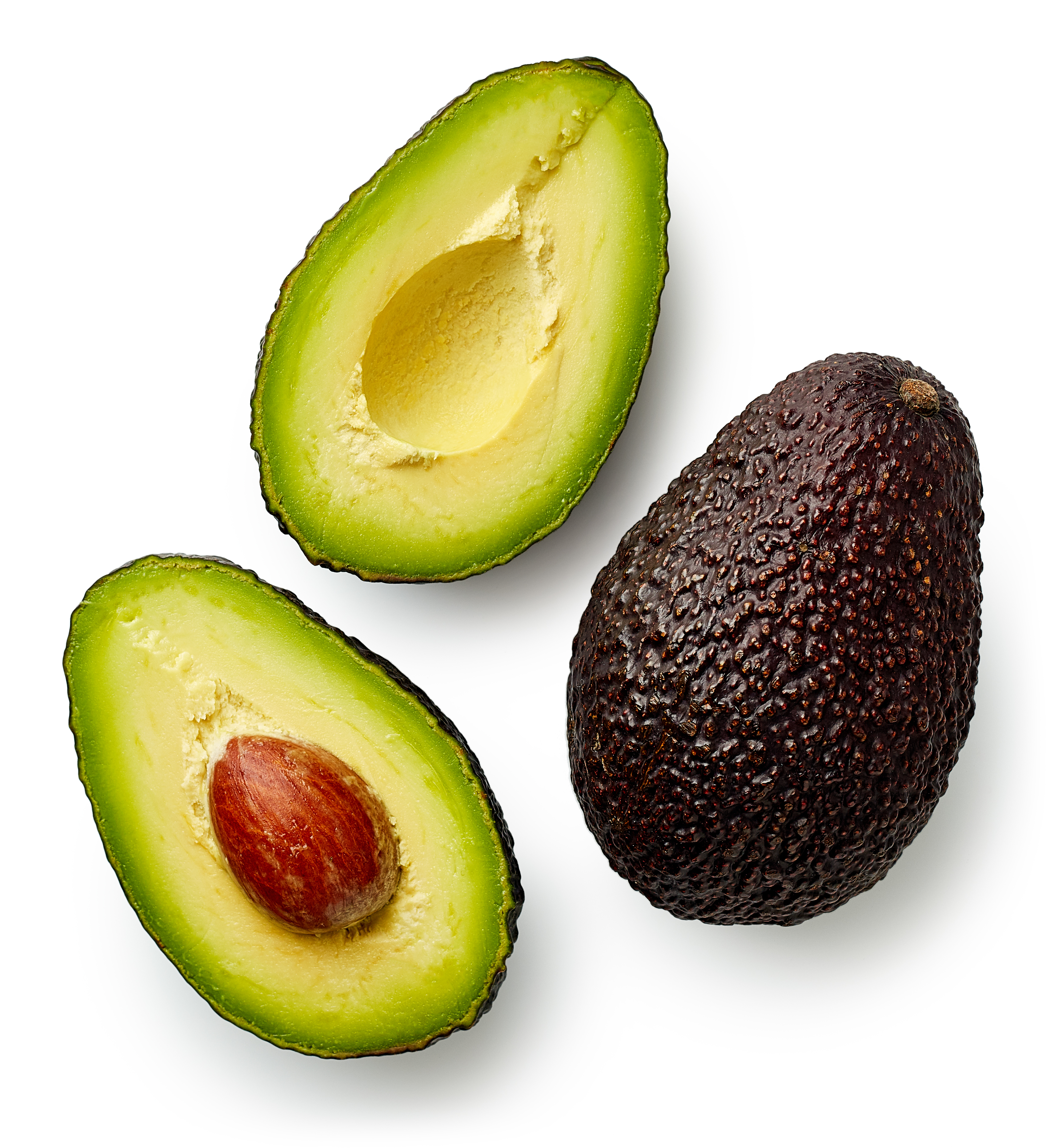 Avocado industry deepens collaboration for record export growth