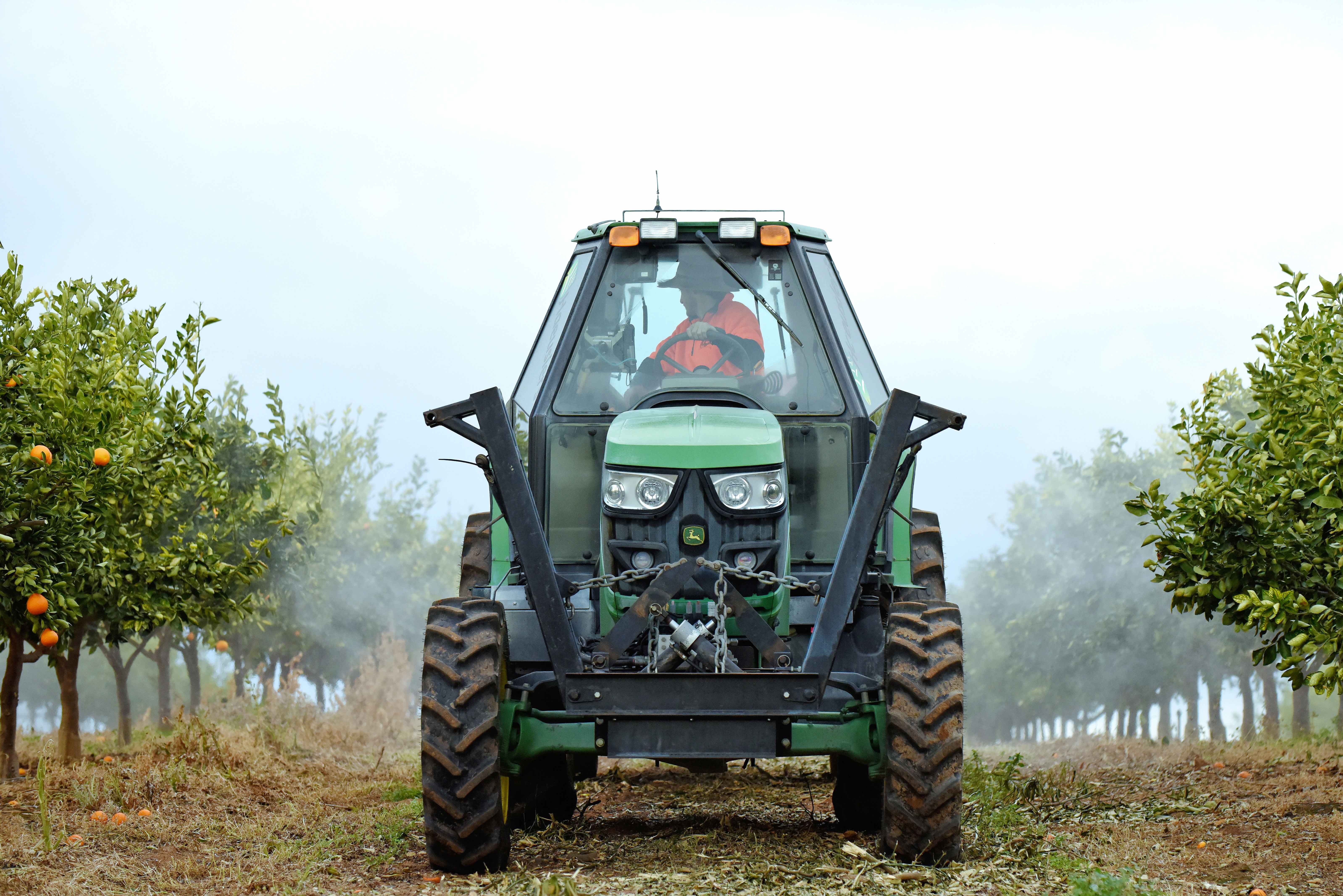 Mildura’s Minter Magic grows from embracing tech