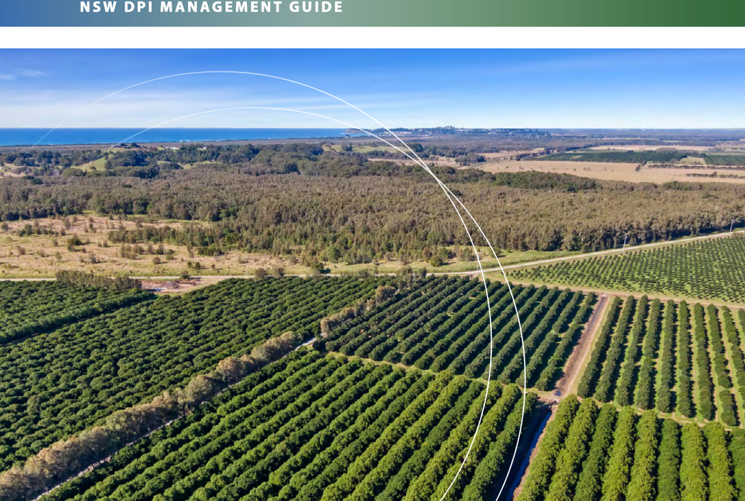 NSW Macadamia Plant Protection Guide released