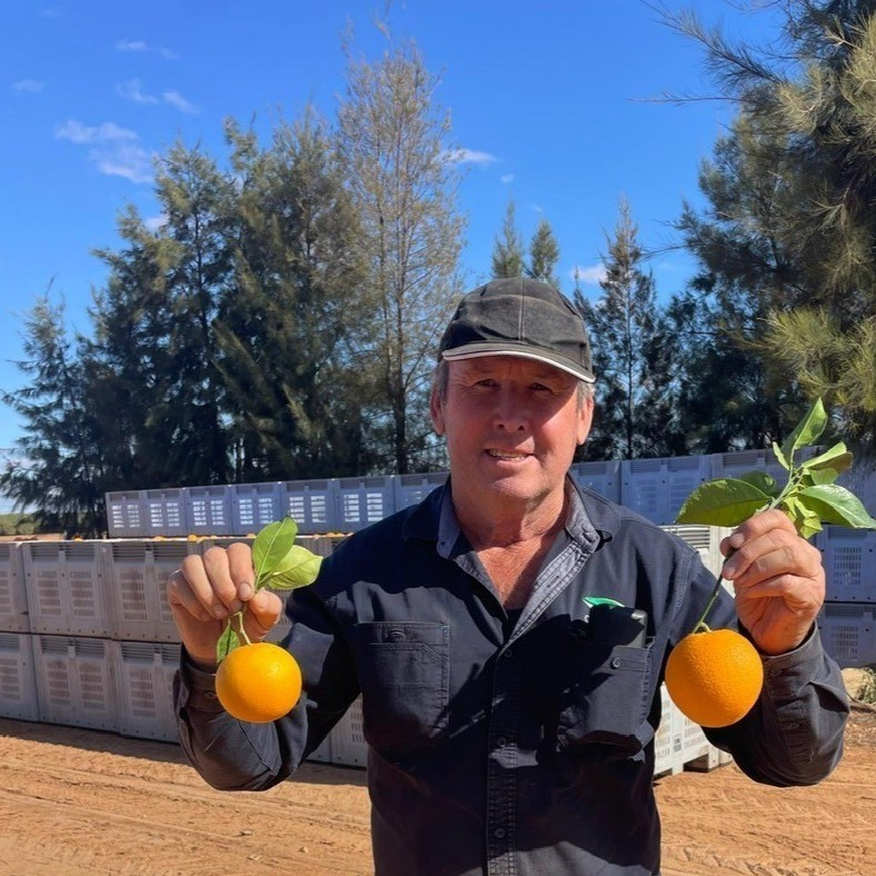 Crop resilience delivers amid record heat